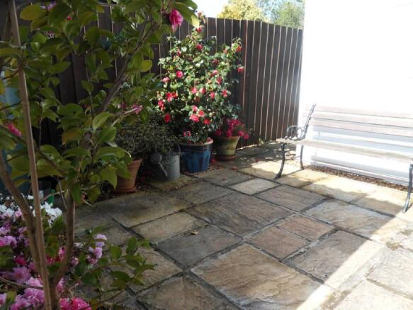 Photo 11