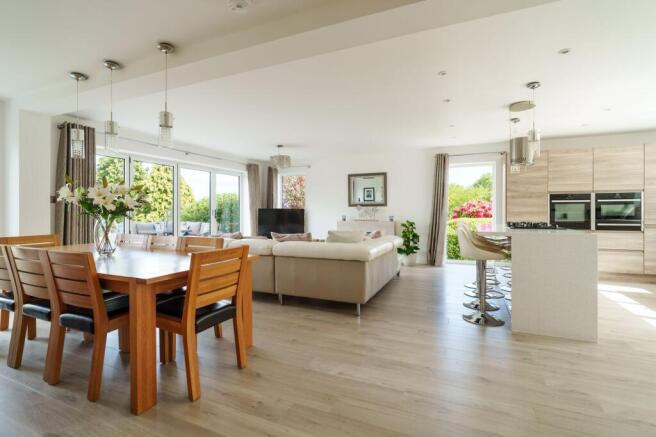 Kitchen/Living/Dining