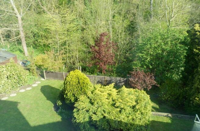 View from window