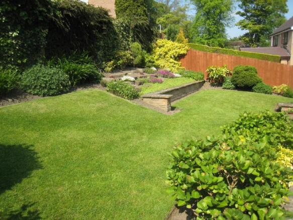 Image 15