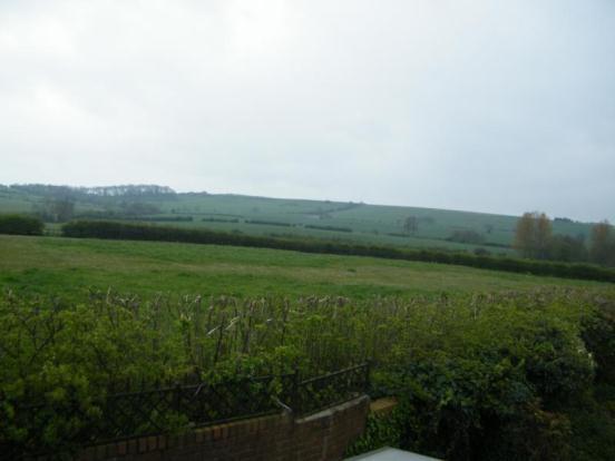 Picture No.16