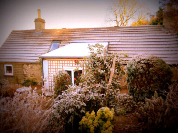 Photo 44