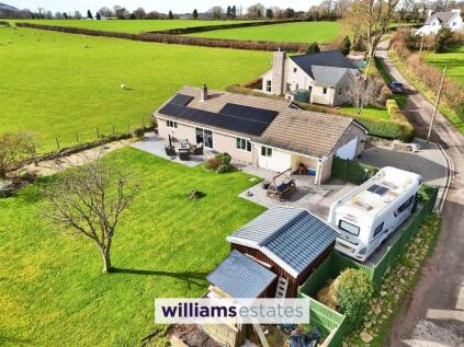 Mynydd Llan, Babell, CH8