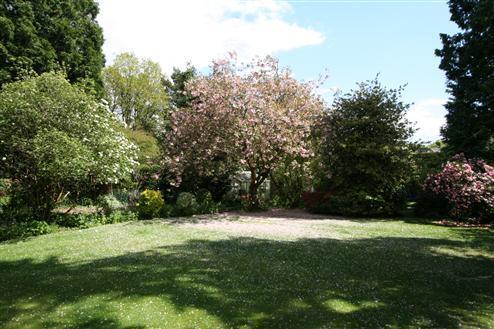 Rear Garden Alternate