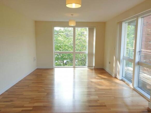 59446172_2173781139403413_7151599337909256192_n.jp