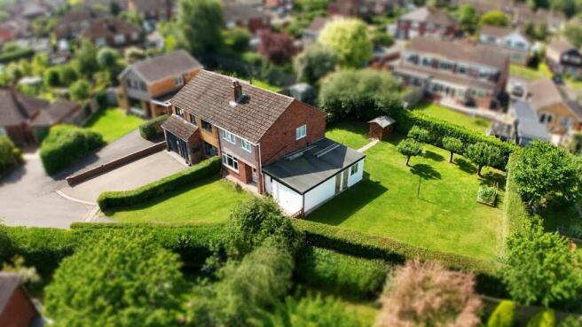 Mayfield Grove.jpeg