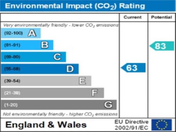 ENVIRONMENTAL  IMPAC