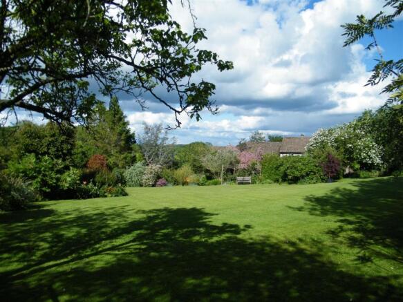 new garden 2.JPG