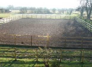 Manege