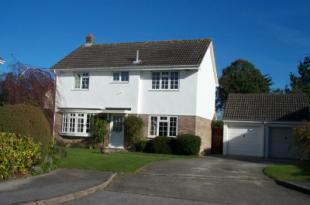 Driveway & Garage
