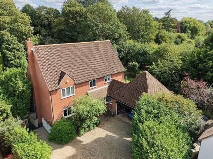 Priory Wood, Castle Hedingham, CO9
