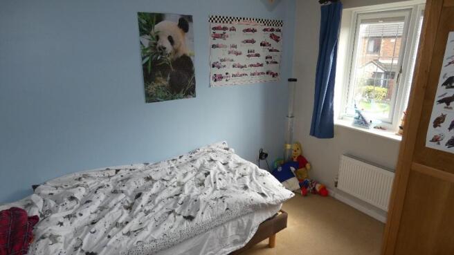 Photo 15