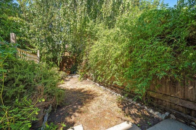 Garden.JPG