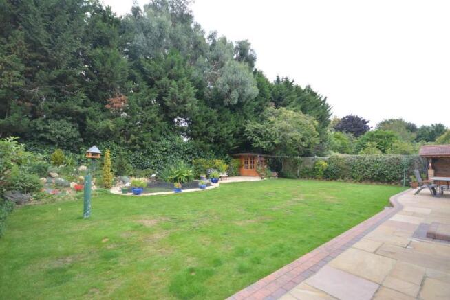 Photo 21