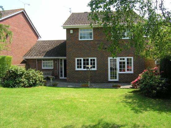 Rear Elevation