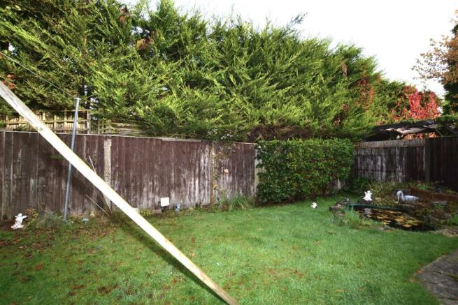Garden.JPG