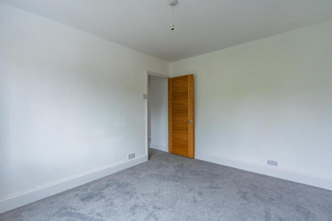 Photo -16