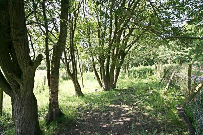 Approx 1 acre of coppice land