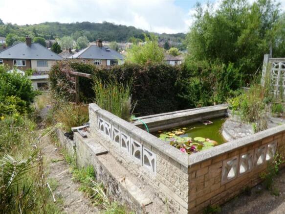 garden2.JPG