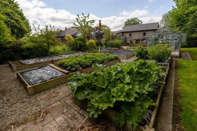 Vegetable Garden