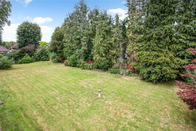 Lawn and Trees