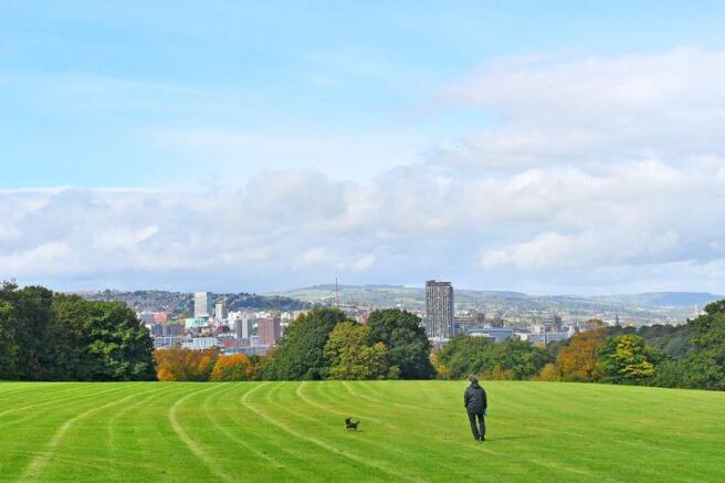Norfolk Park View