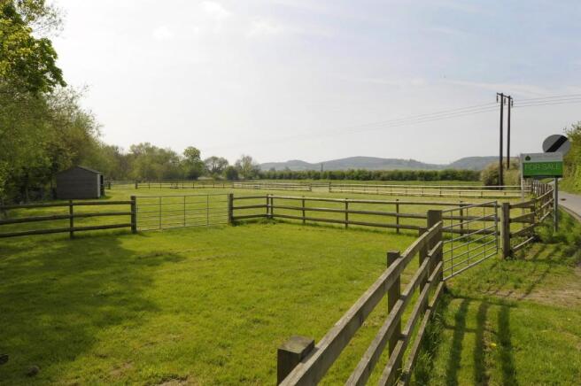 The Paddock