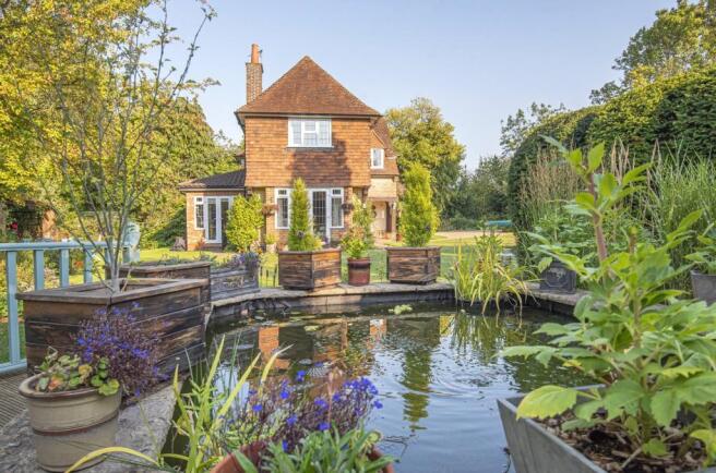 Pond/Garden