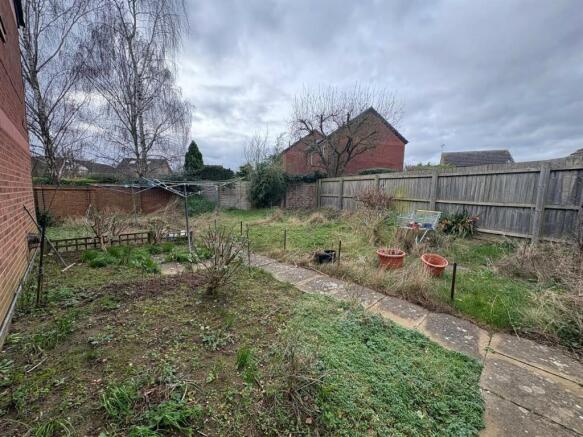garden.jpg