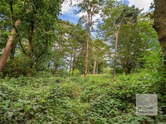 Wooded Garden