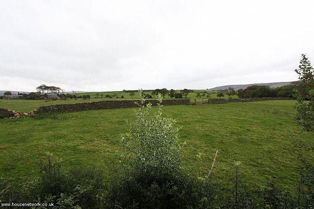 Photo 46