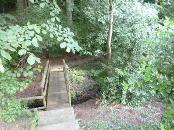 Woodland Area
