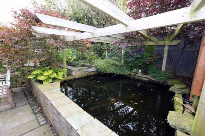 KOI POOL