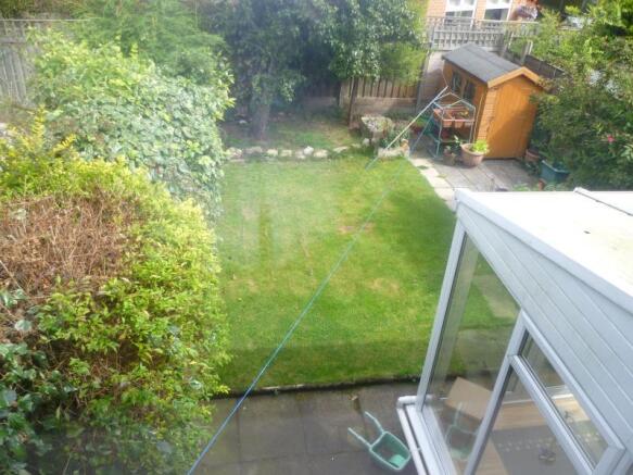 Image 7