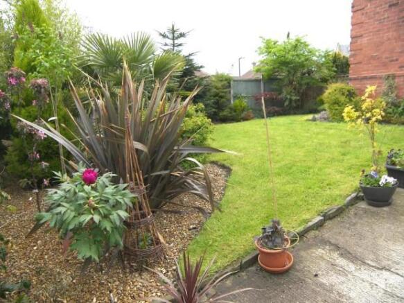 Garden Shot 3