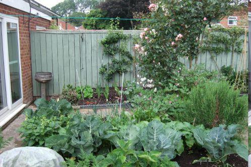 Photo 12
