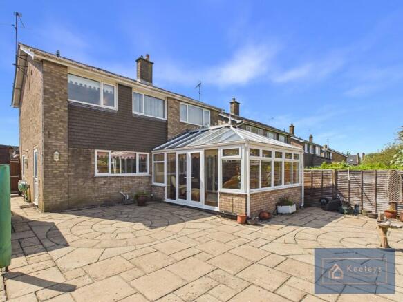 Back Garden