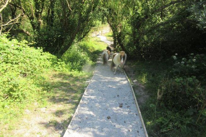 path from lowe...