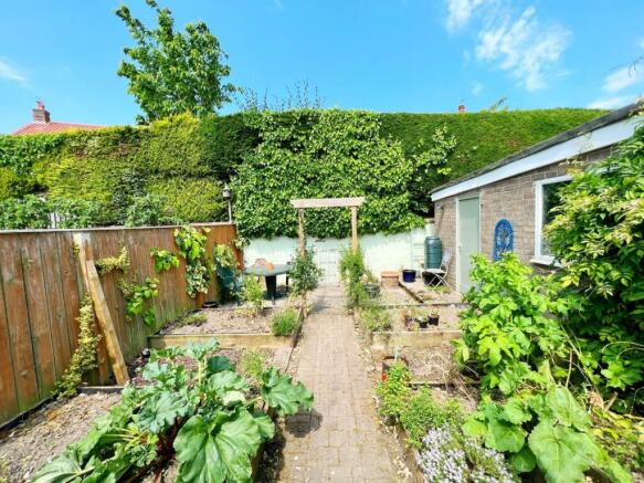 Garden pic 1.jpg