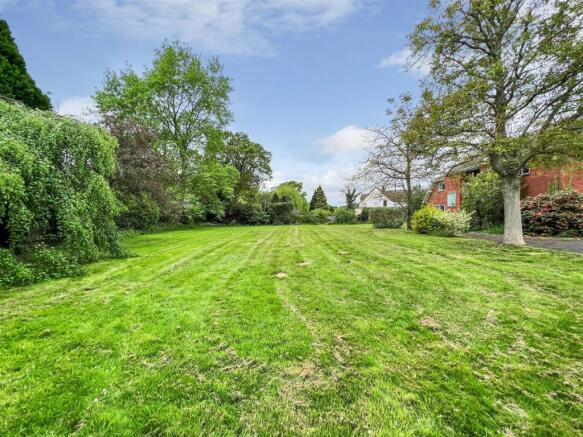 lawn.jpg