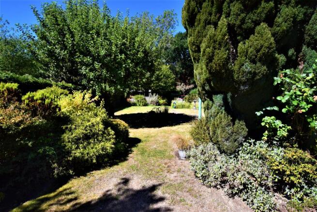 Photo 05