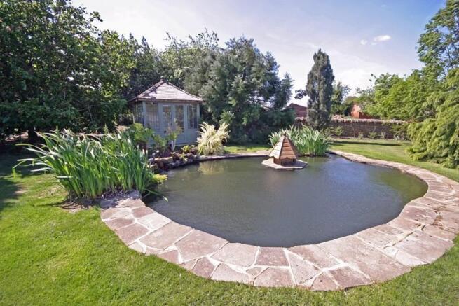 Duck pond