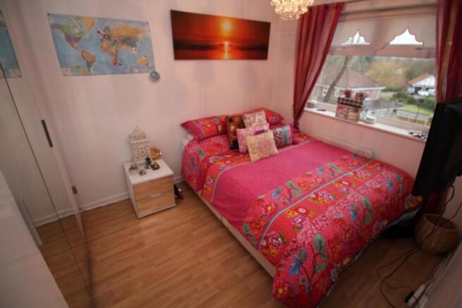 Back Bedroom