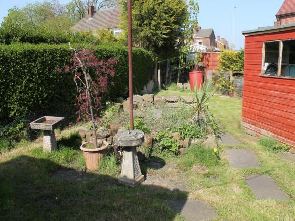 Image 11