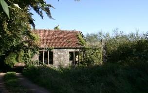 Derelict Building