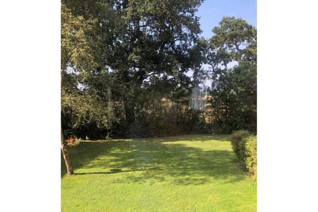 Communal Gardens