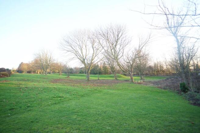 View Of Golf Course