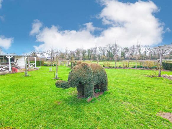 Elephant.jpg