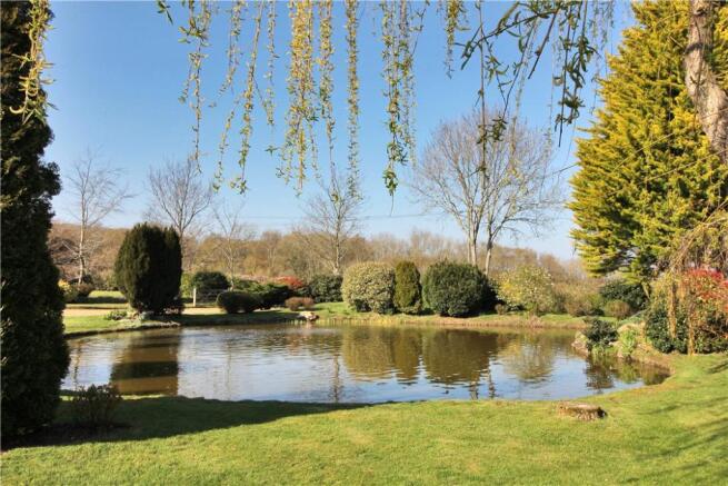 Pond & Garden