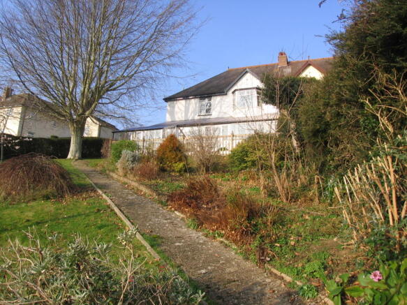 A view of the garden